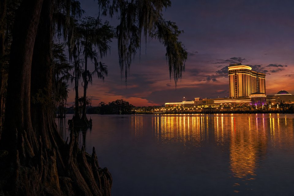 Cypress trees draped in Spanish moss along a still bayou at twilight, with a lit casino resort glowing in the distance (AI-generated image)
